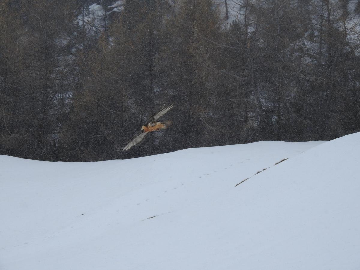 Baita Laura Livigno Exterior photo